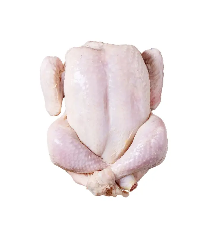 مرغ گرم